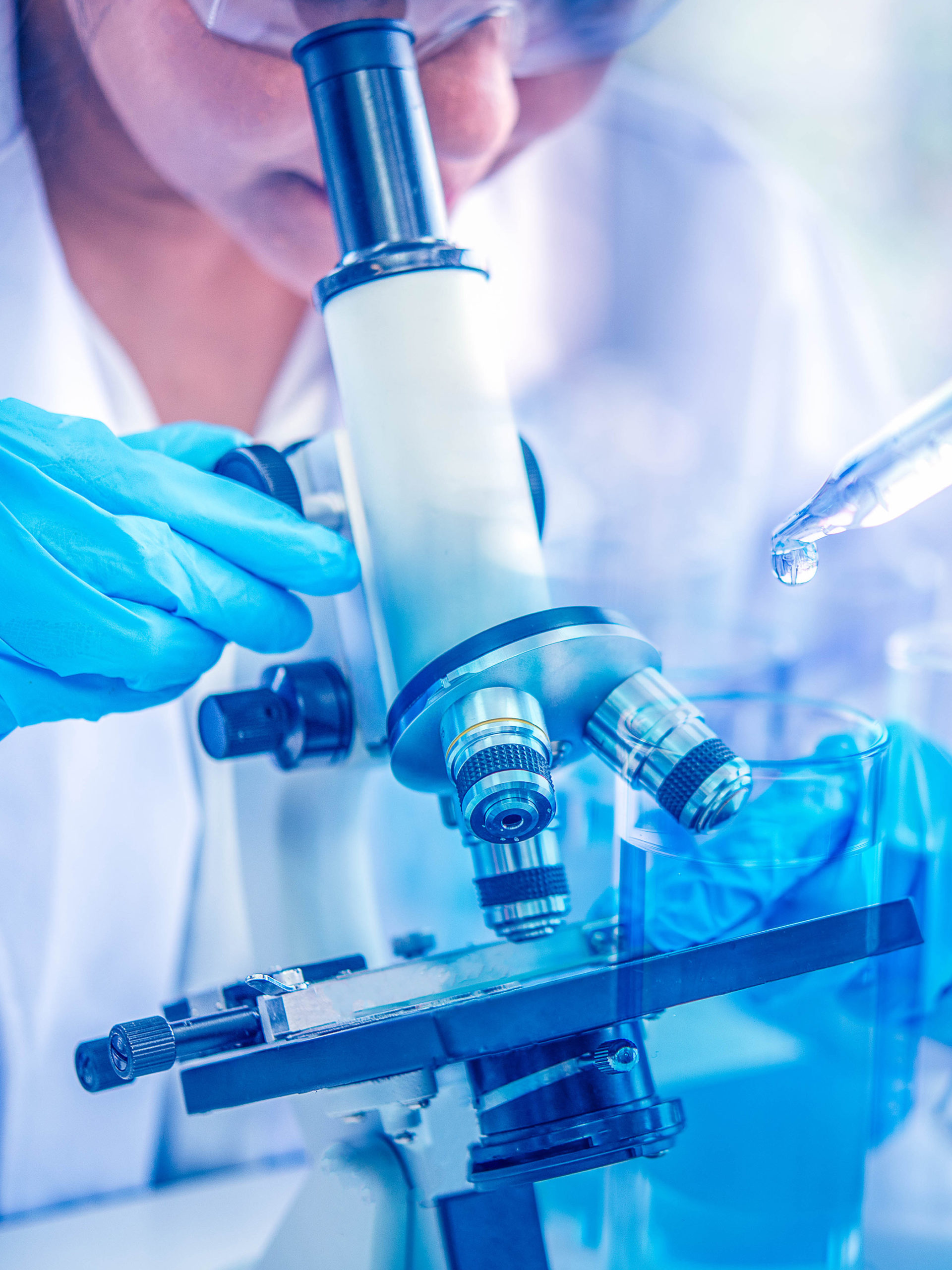 provider looks into microscope