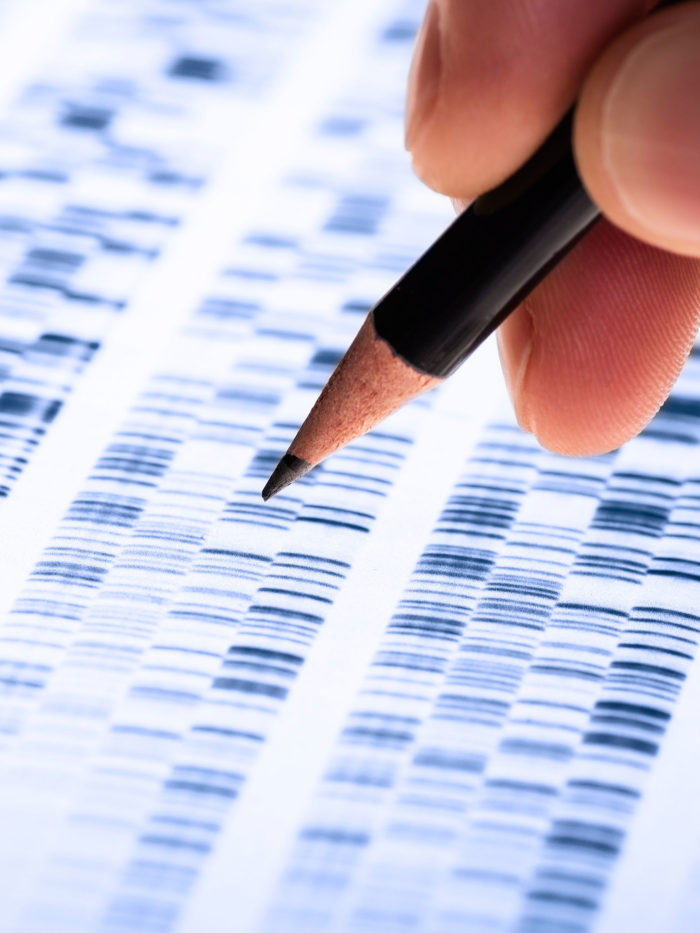 Scientist analyzes DNA gel used in genetics