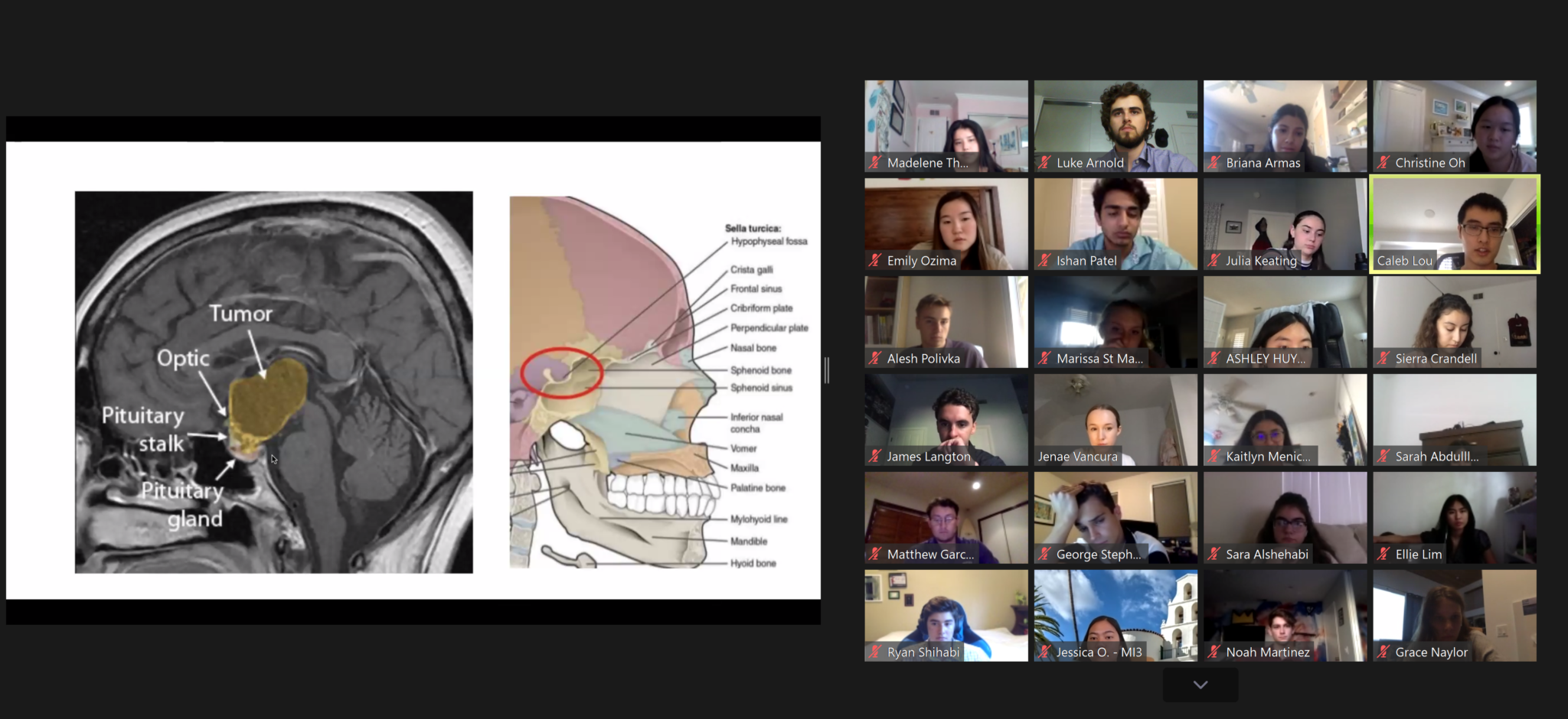 An innovative internship approach during COVID19 CHOC Pediatrica
