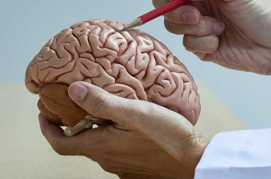 Research Shows Endoscopic Strip Craniectomy is Strong Alternative to