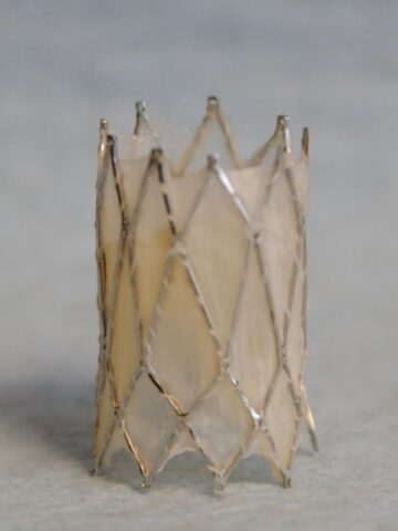 Expandable heart valve moves closer to testing in humans
