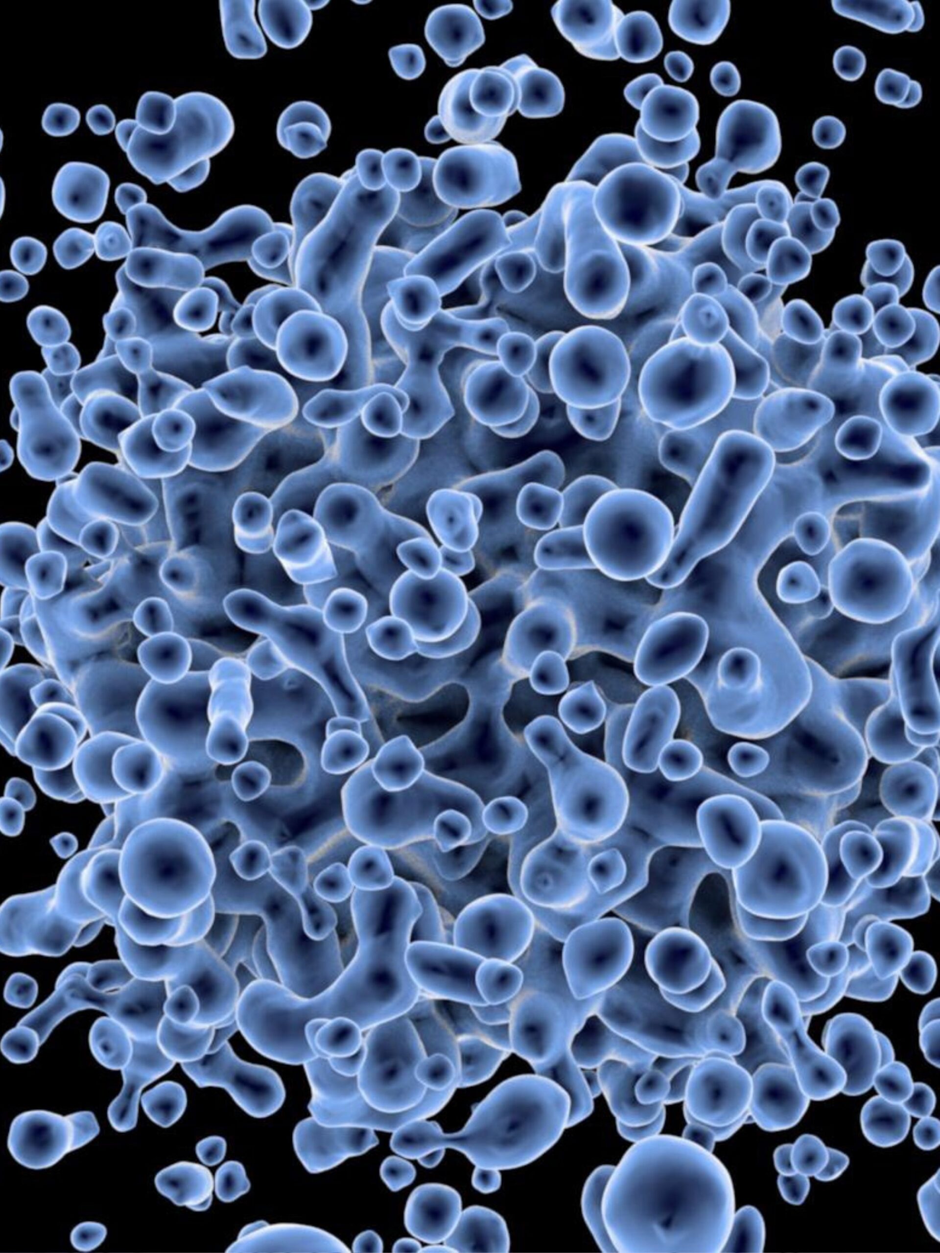 Cancer cells